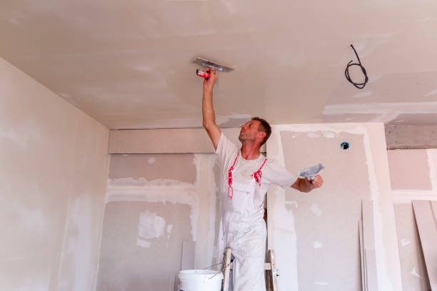 Best Water-Damaged Drywall Repair  in Craigsville, WV